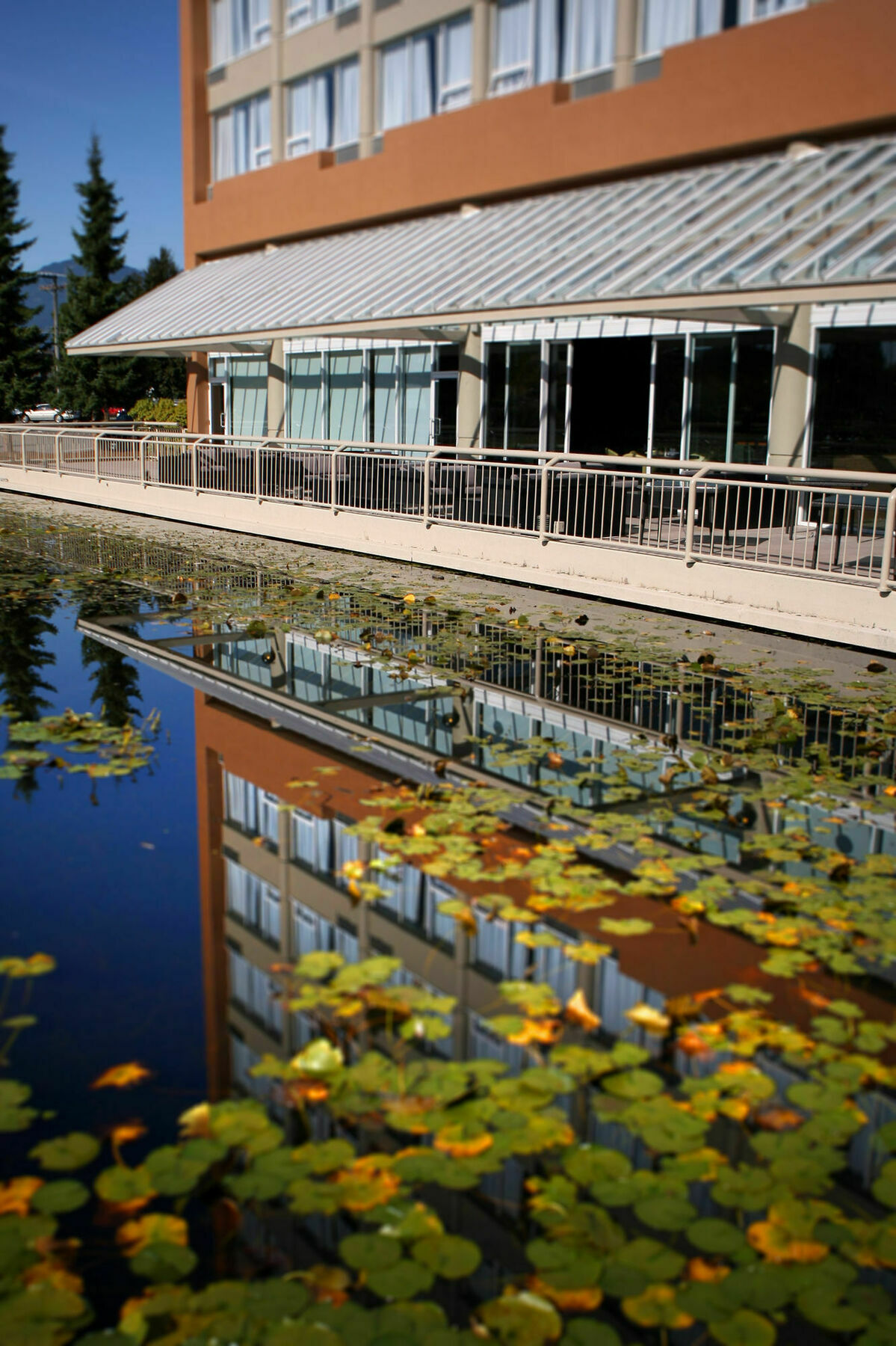 Coast Chilliwack Hotel By Apa Exterior photo